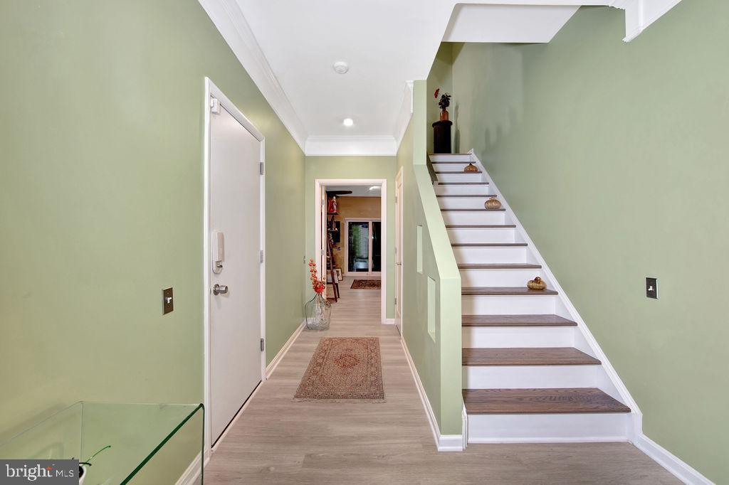 1113 Cypress Tree Pl