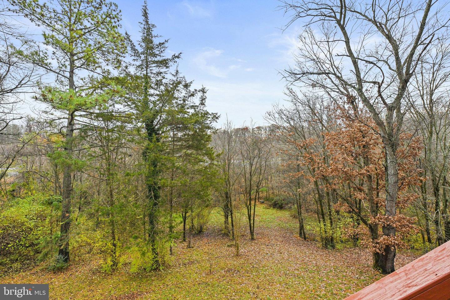 12961 Pinecrest View Ct