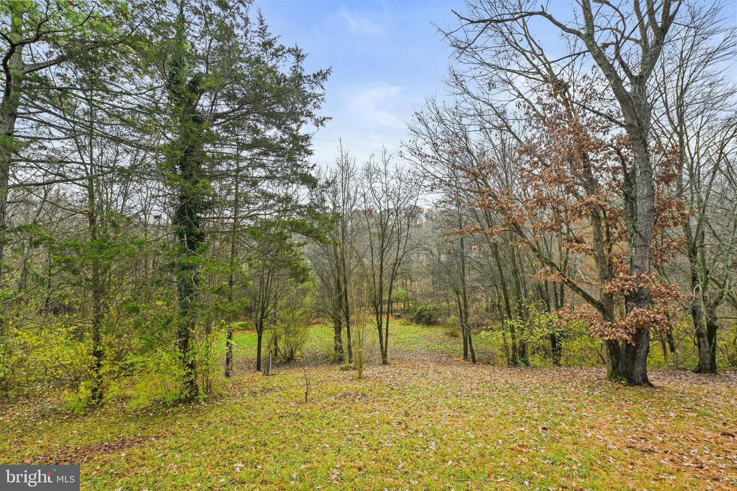 12961 Pinecrest View Ct