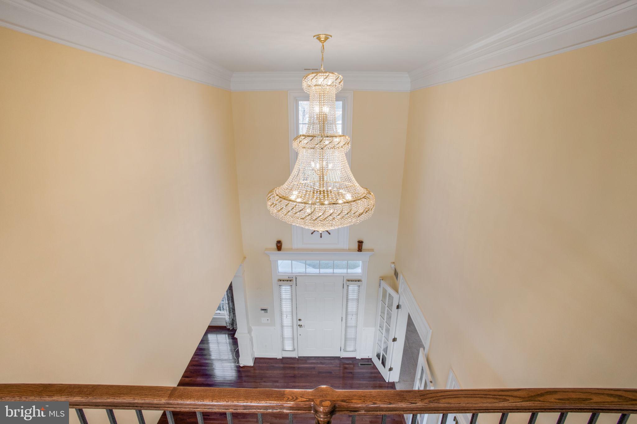 8917 Rhododendron Cir