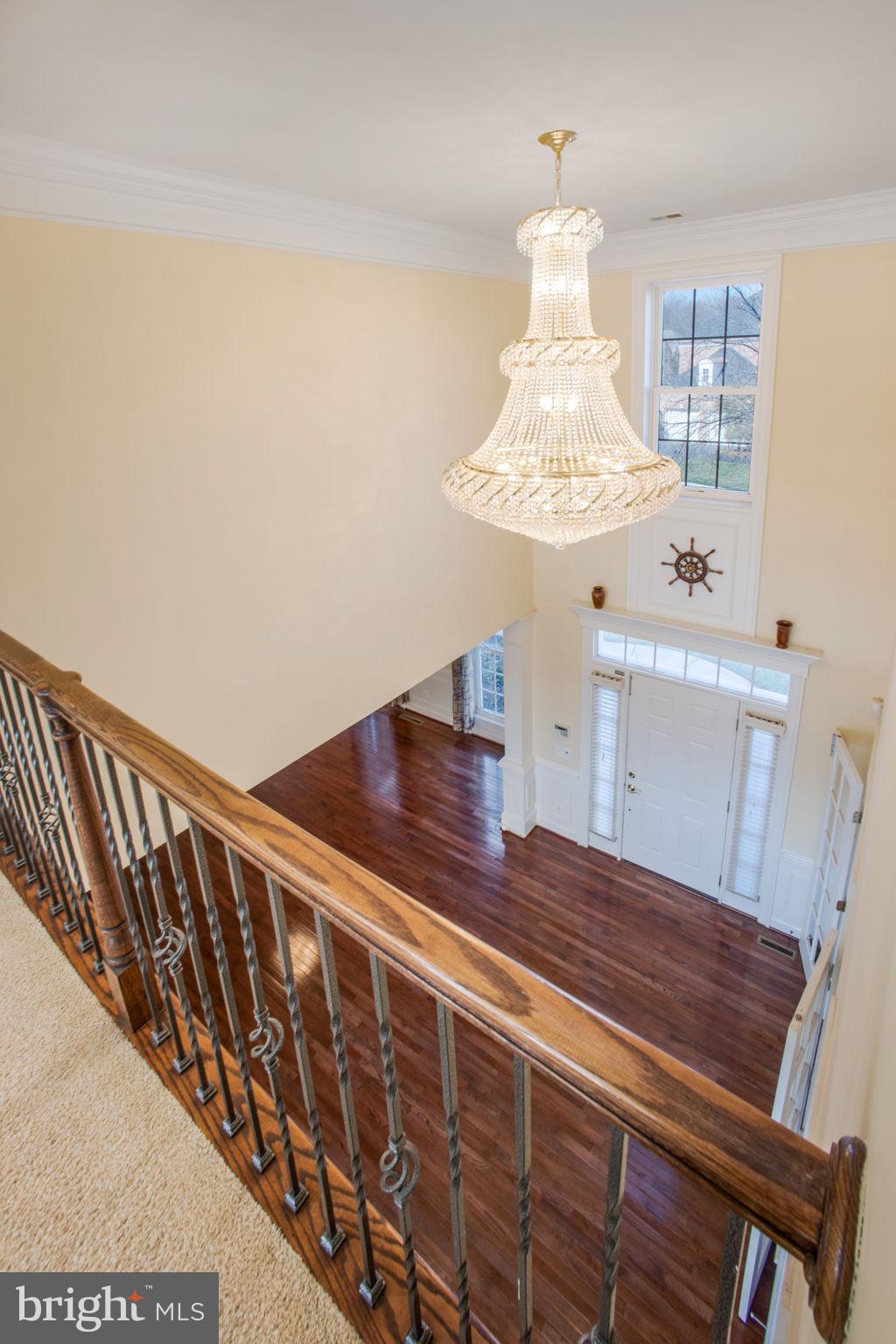 8917 Rhododendron Cir