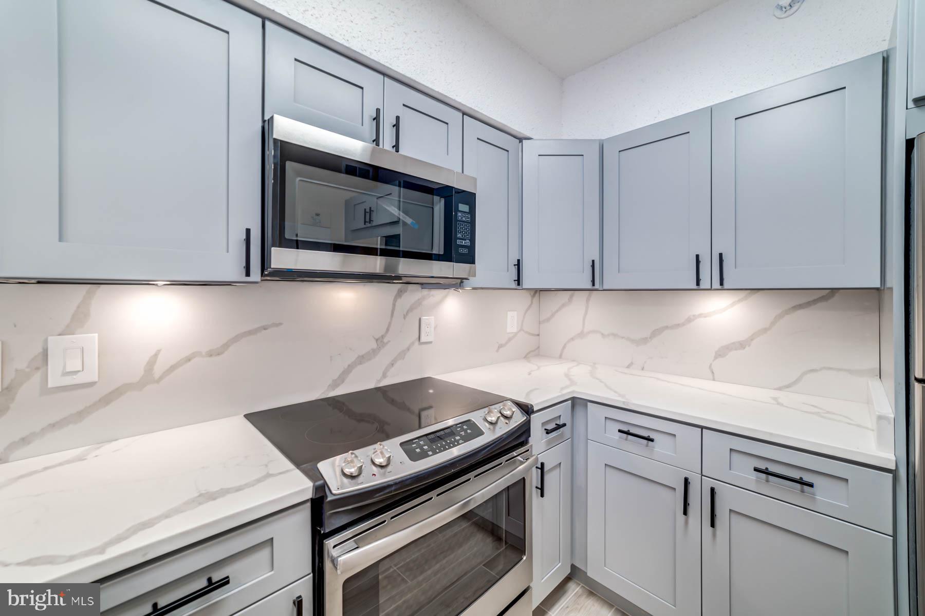 5505 SEMINARY RD #1317N