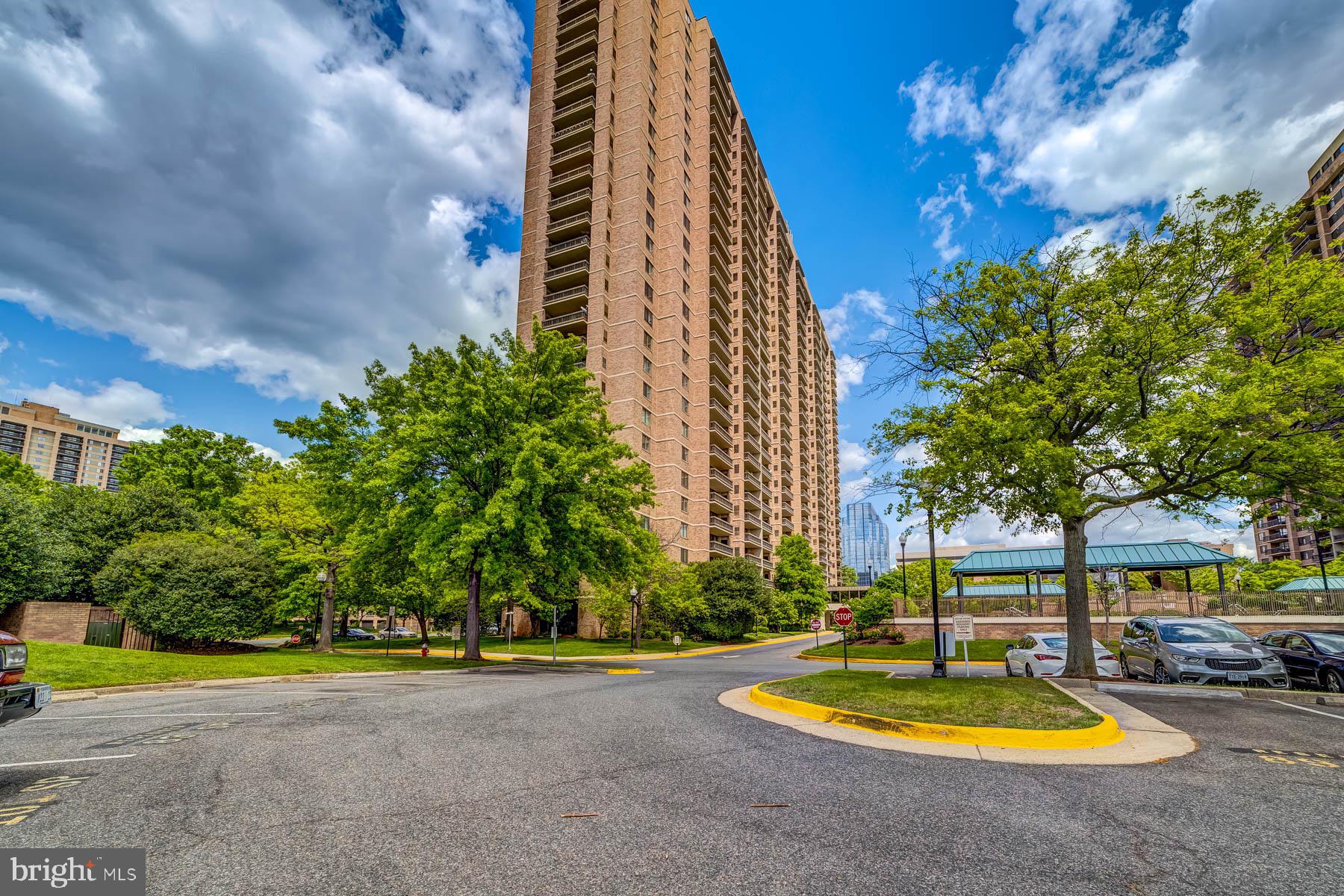 5505 SEMINARY RD #1317N