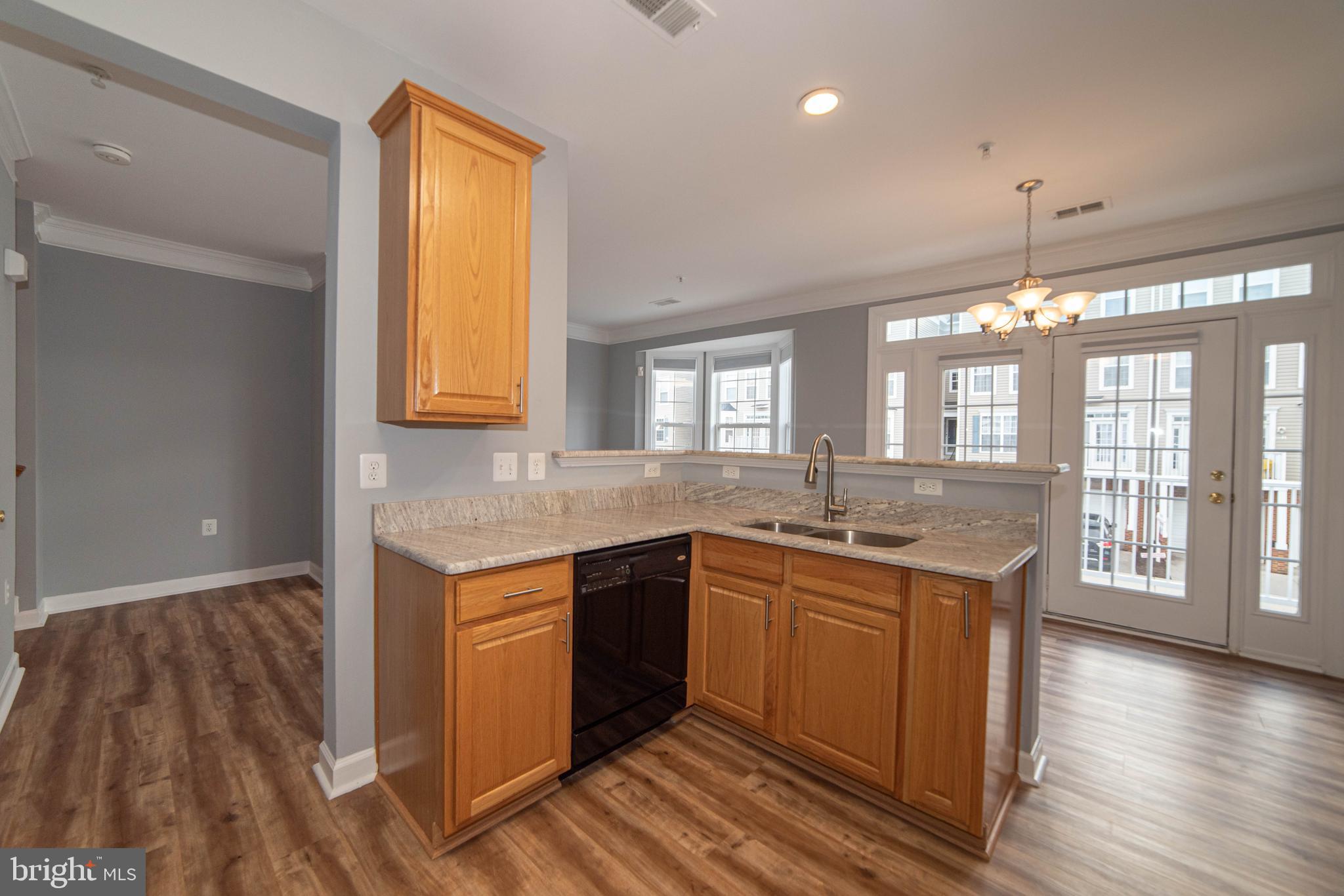 13532 DAVINCI LN #54