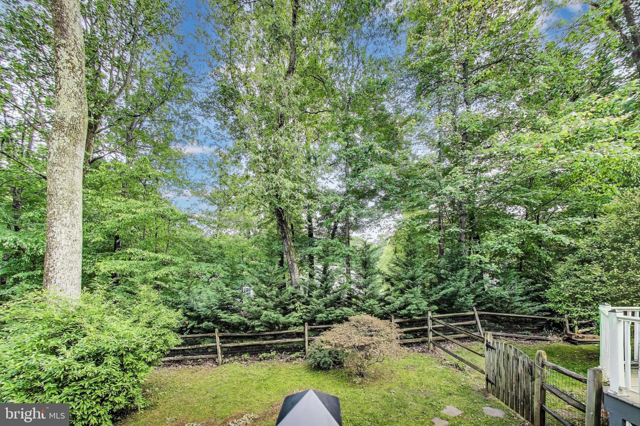 12209 Rowan Tree Dr