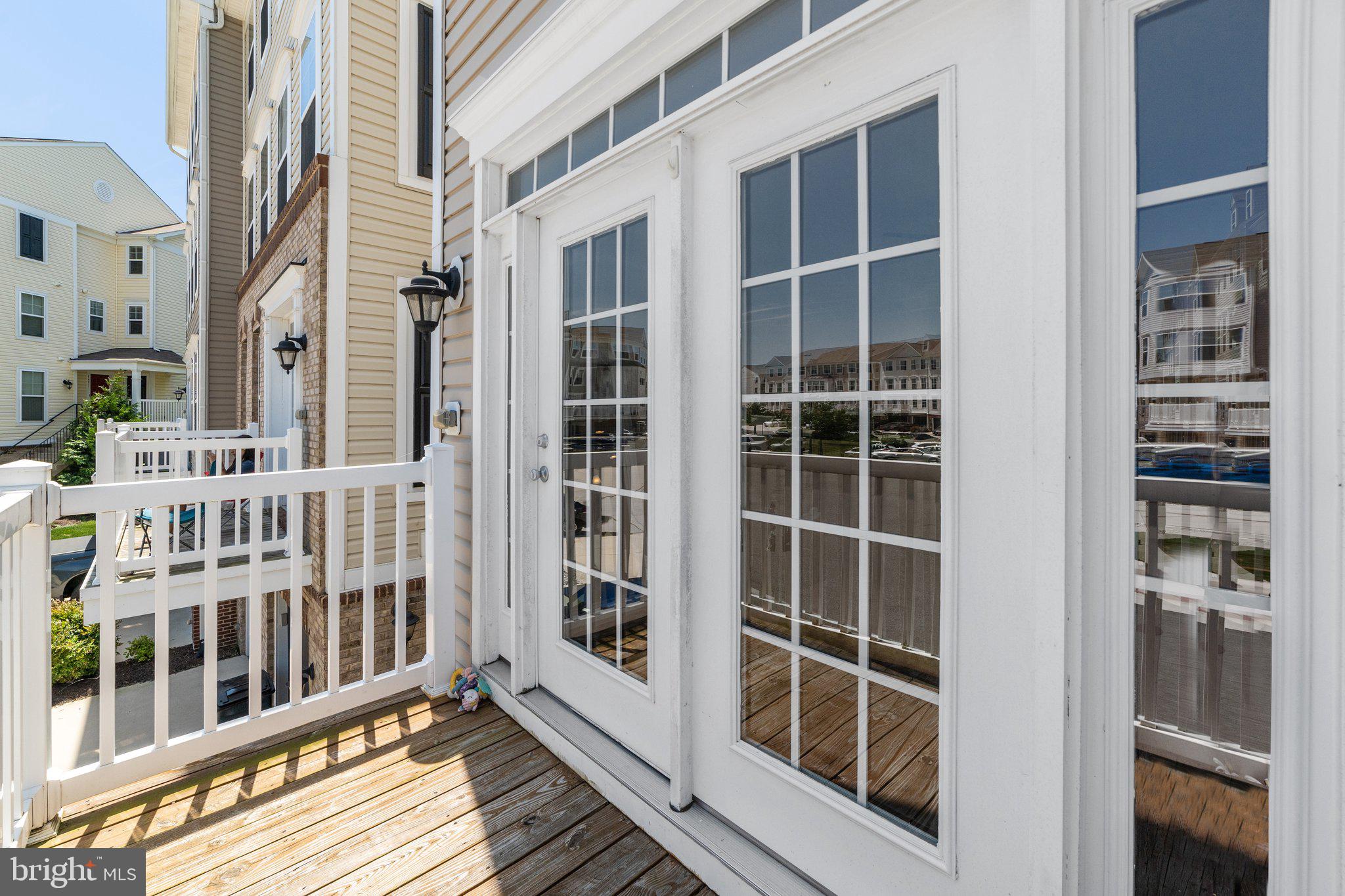 42195 Canary Grass Sq