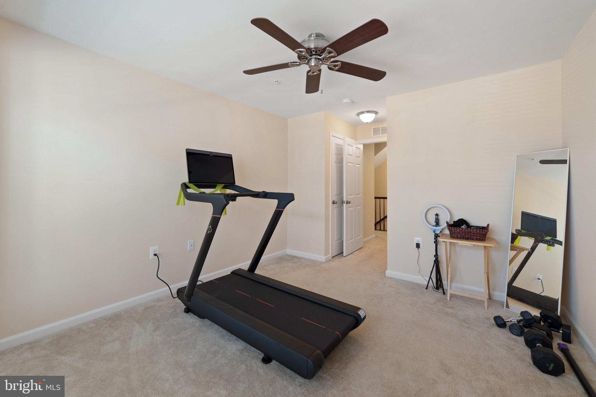 42195 Canary Grass Sq