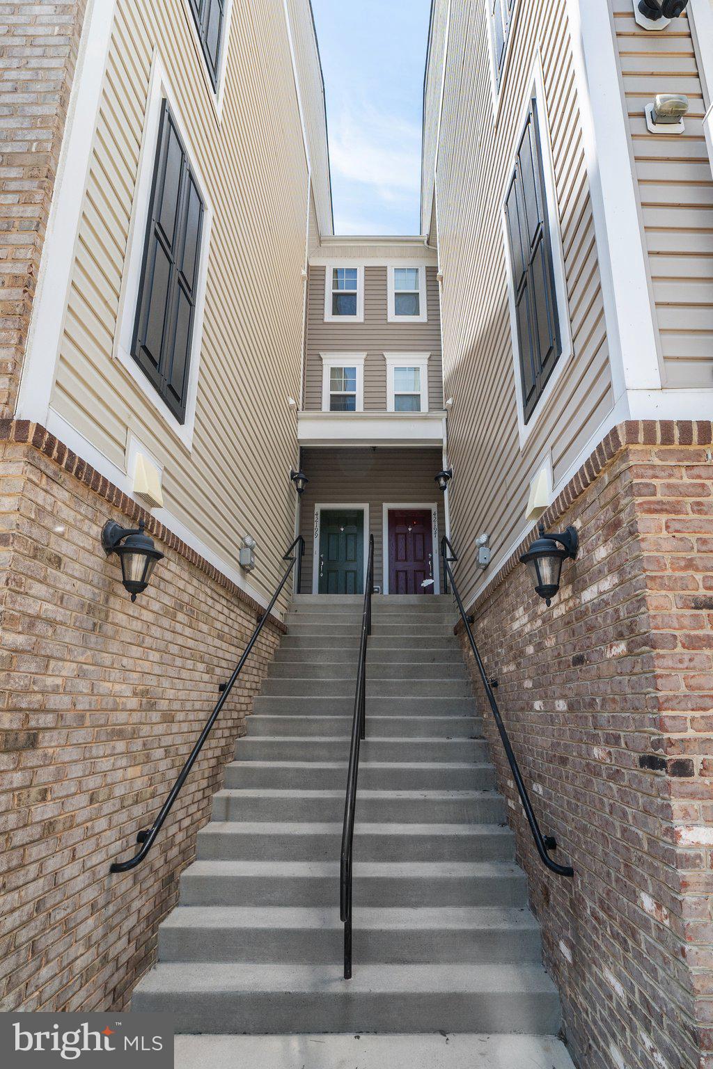 42195 Canary Grass Sq