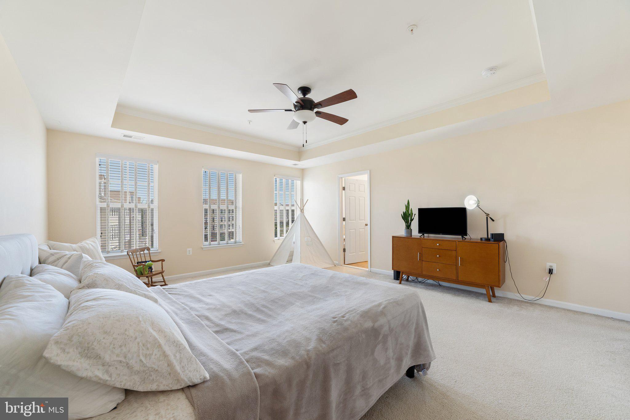 42195 Canary Grass Sq