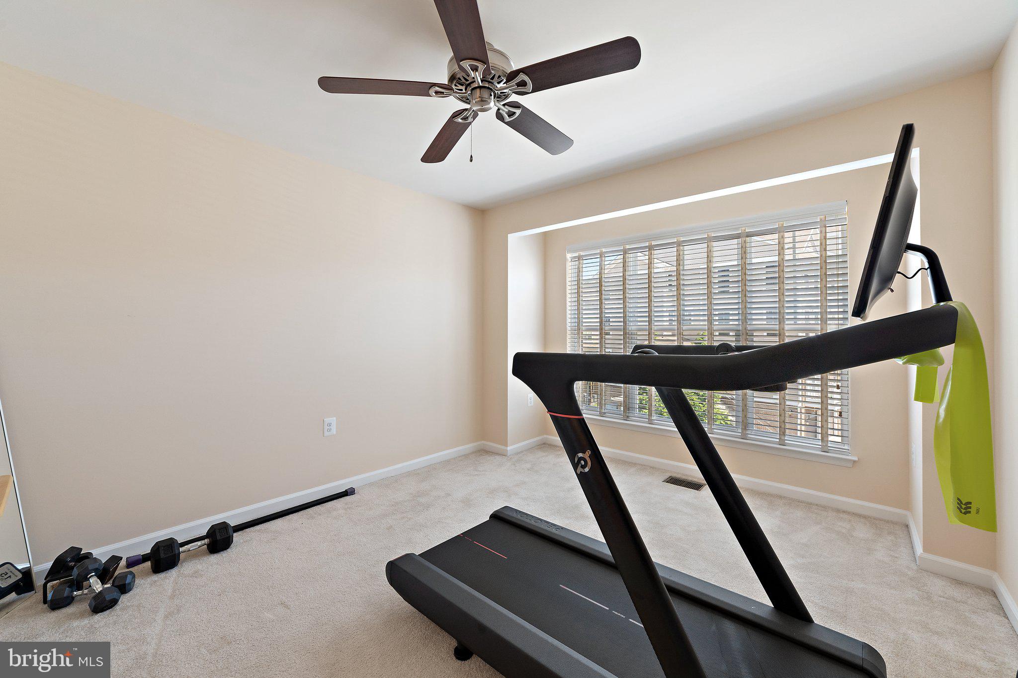 42195 Canary Grass Sq