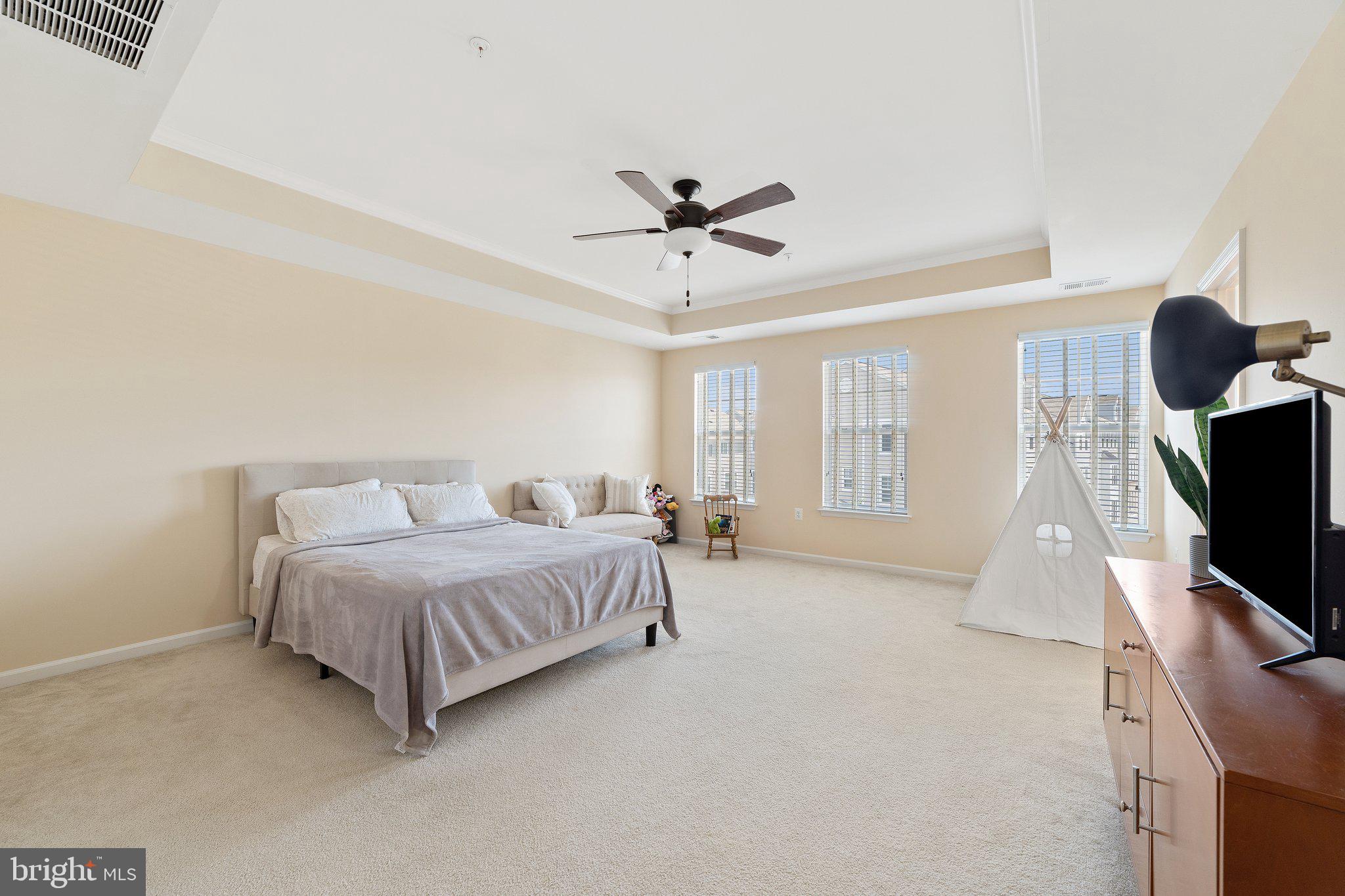 42195 Canary Grass Sq