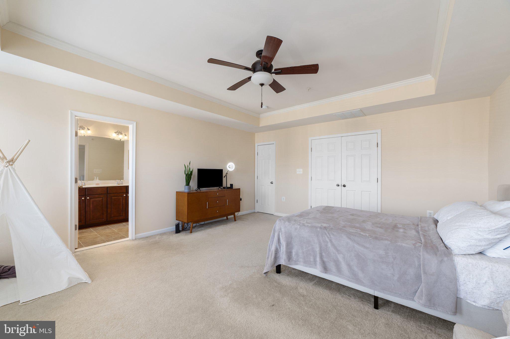 42195 Canary Grass Sq