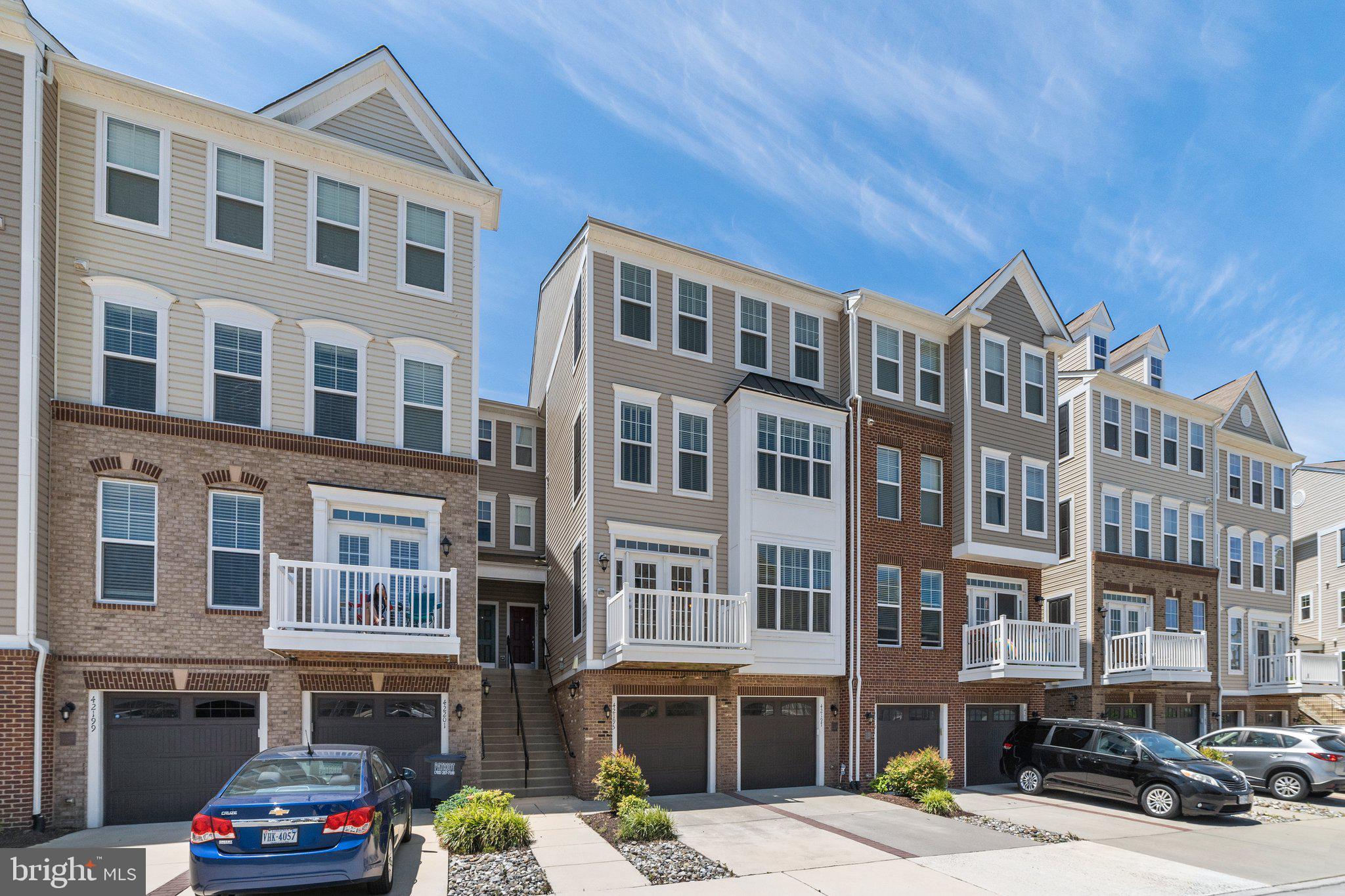 42195 Canary Grass Sq