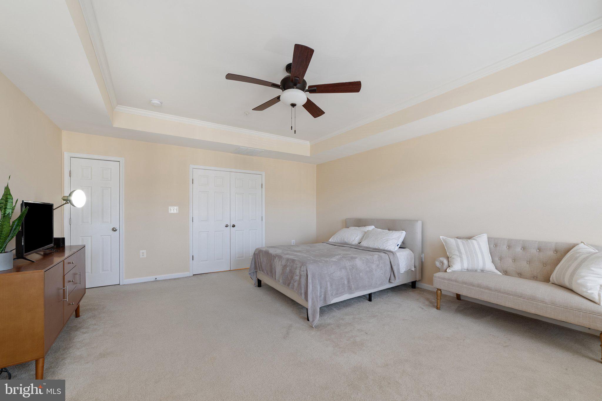 42195 Canary Grass Sq