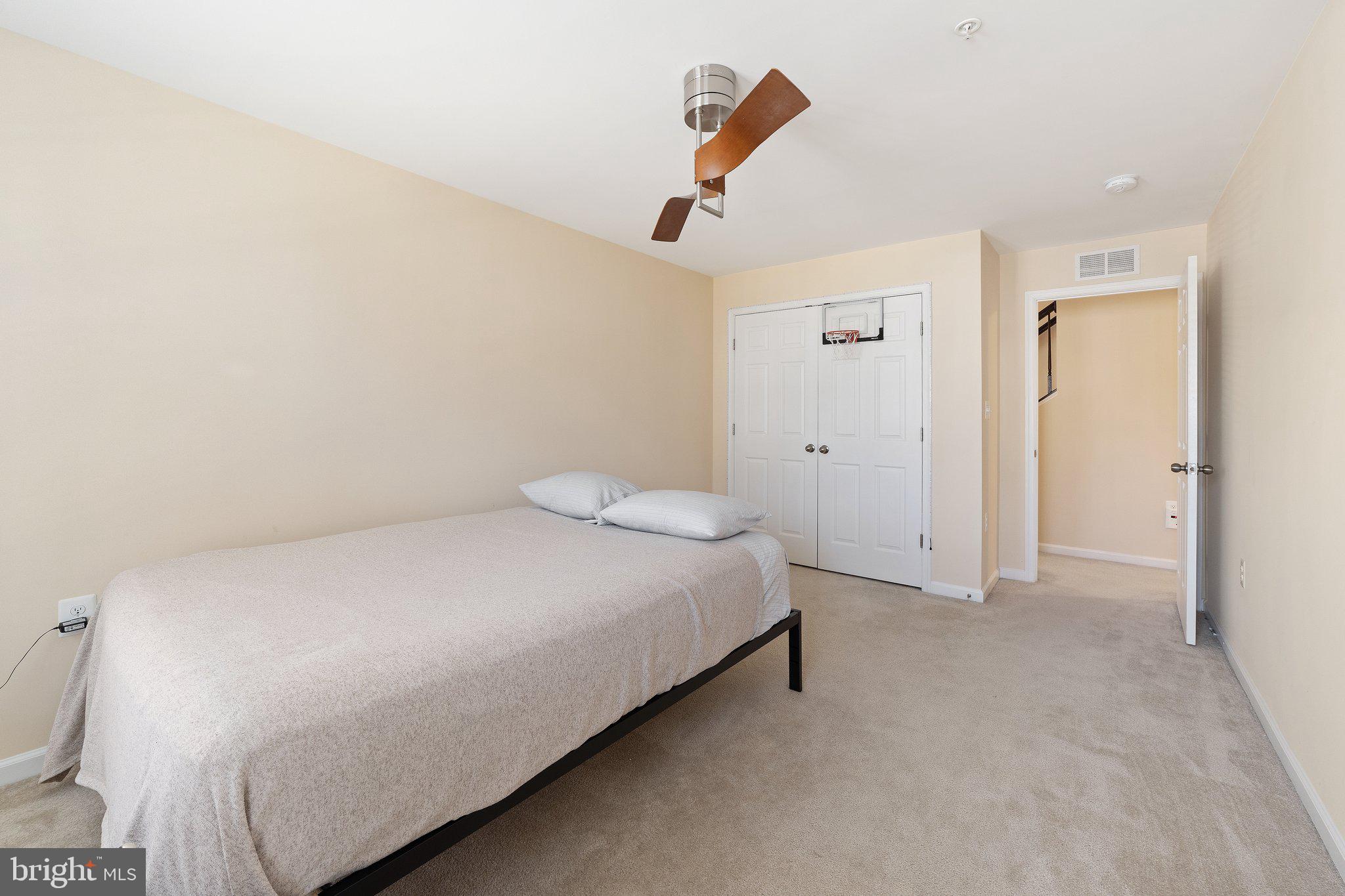 42195 Canary Grass Sq