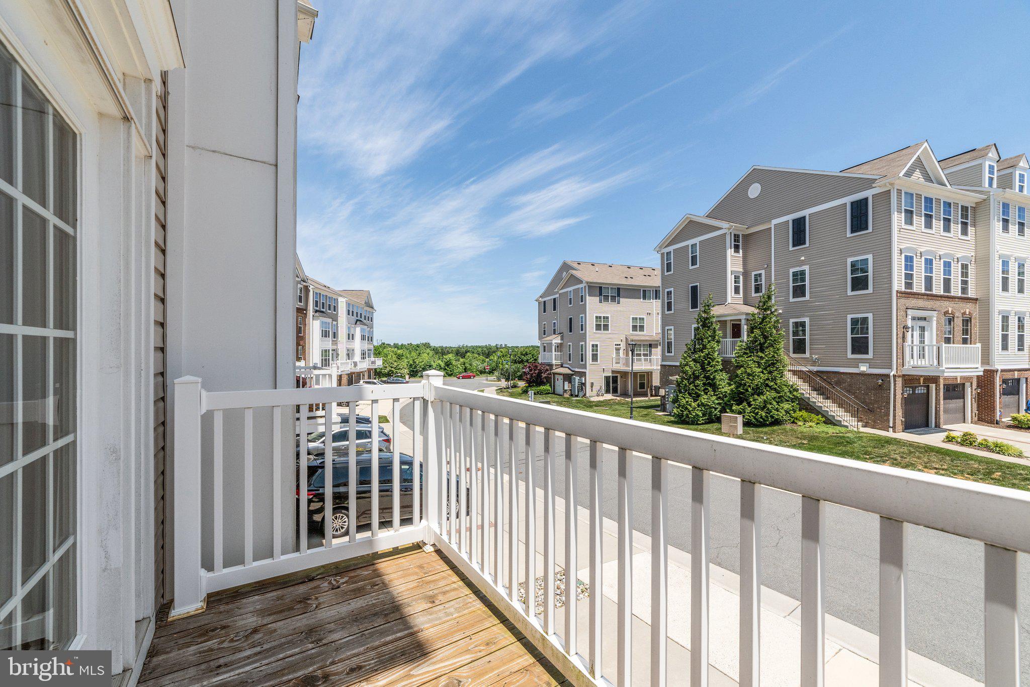 42195 Canary Grass Sq