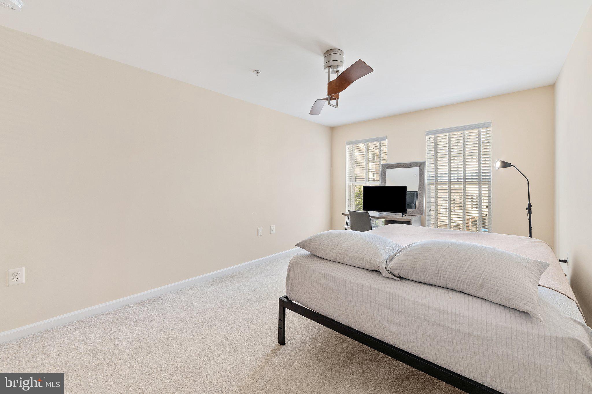 42195 Canary Grass Sq