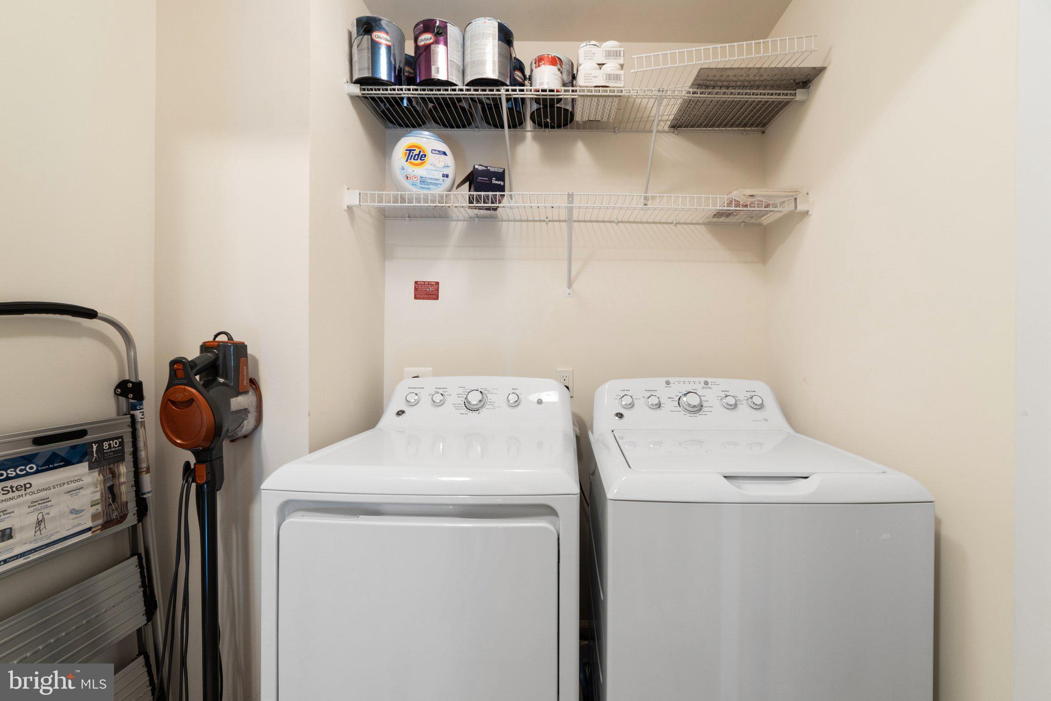 42195 Canary Grass Sq