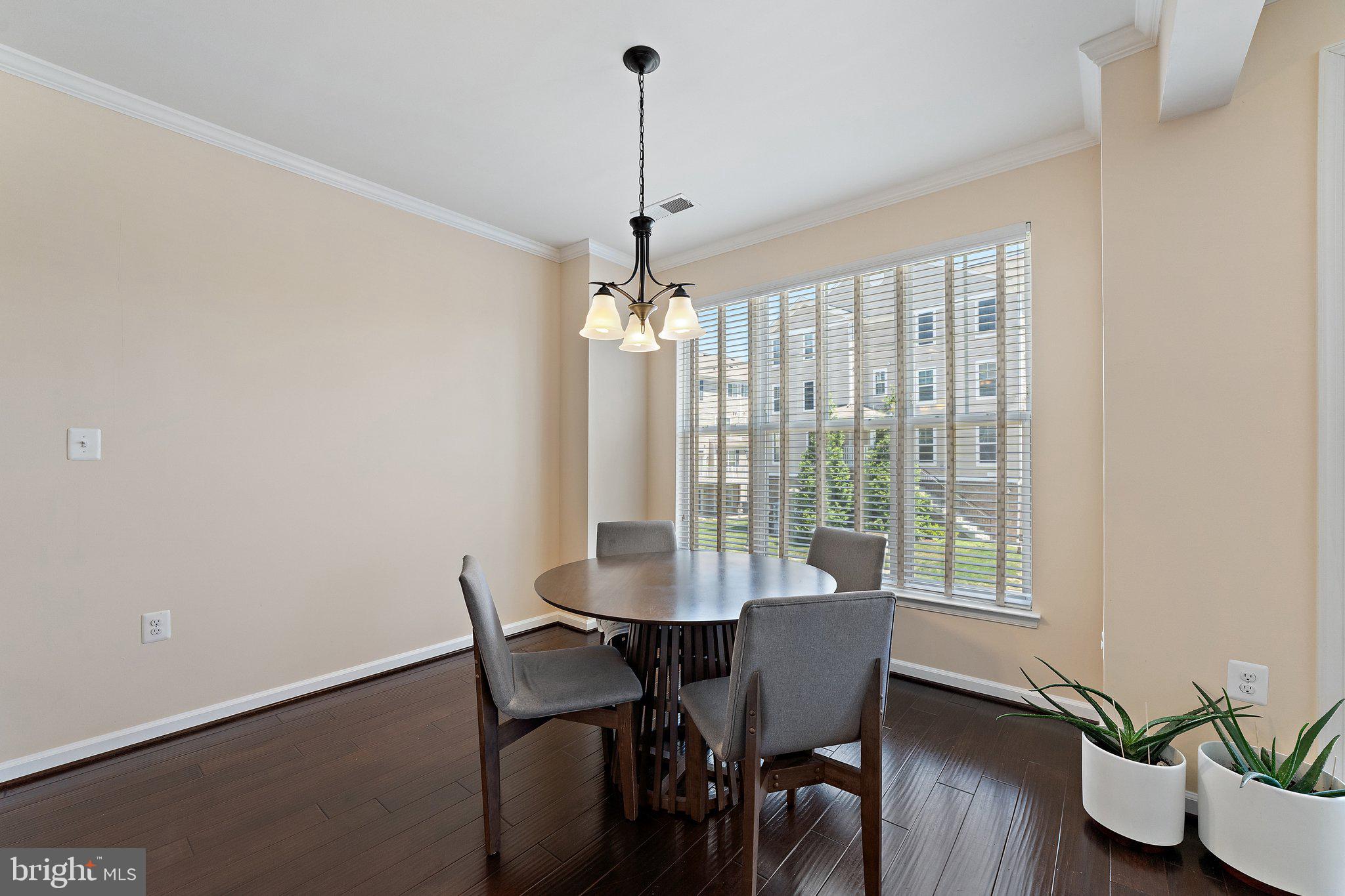 42195 Canary Grass Sq