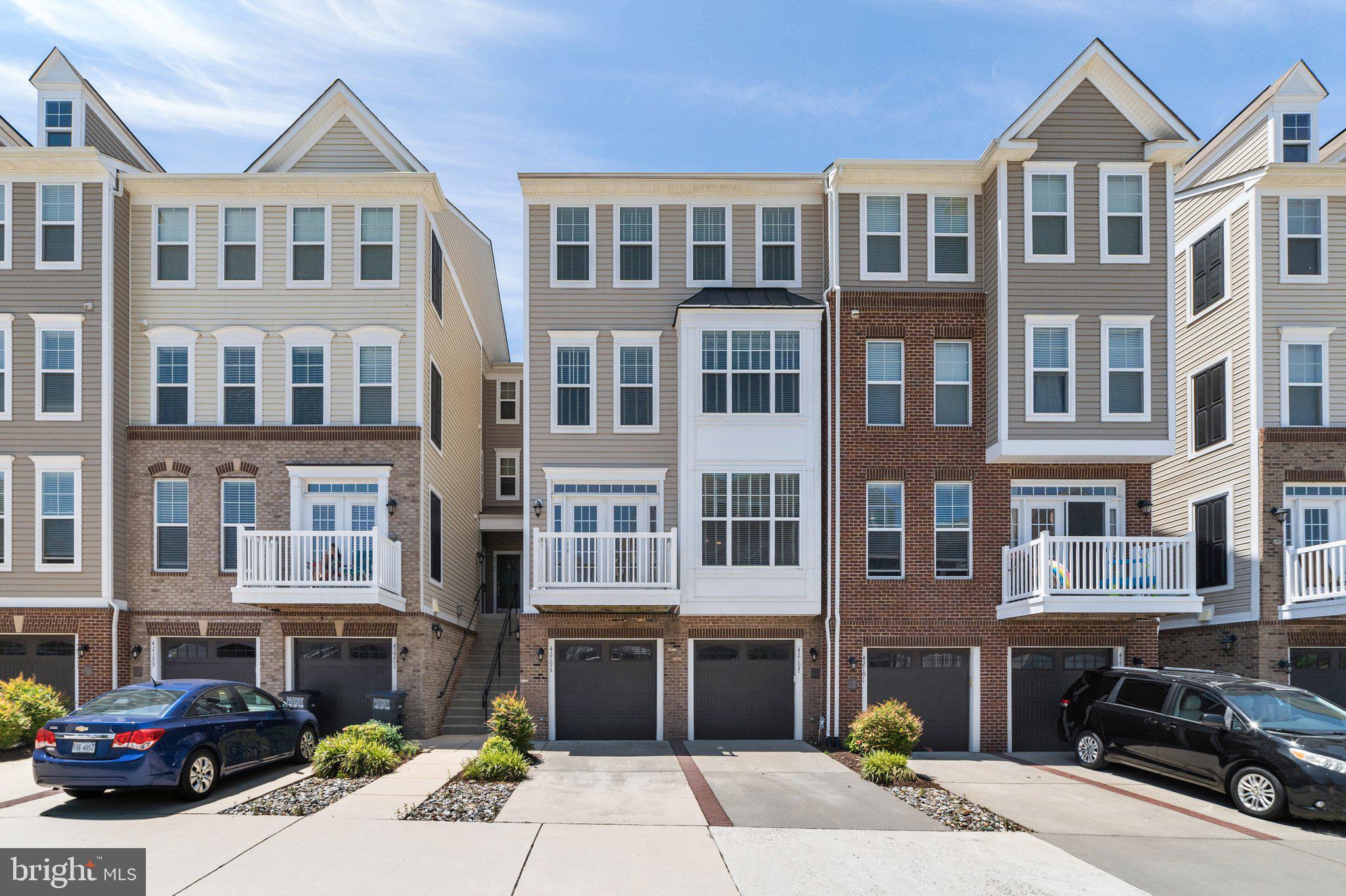 42195 Canary Grass Sq