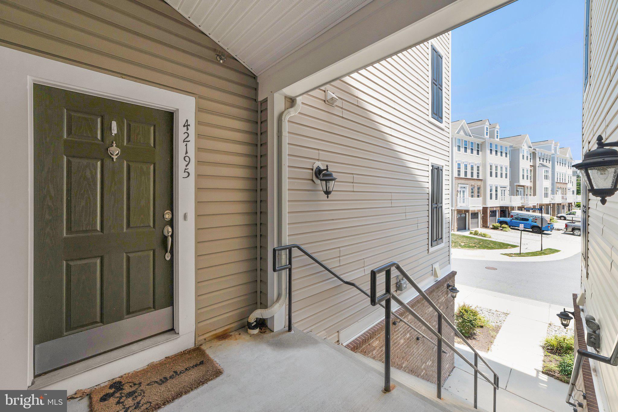 42195 Canary Grass Sq