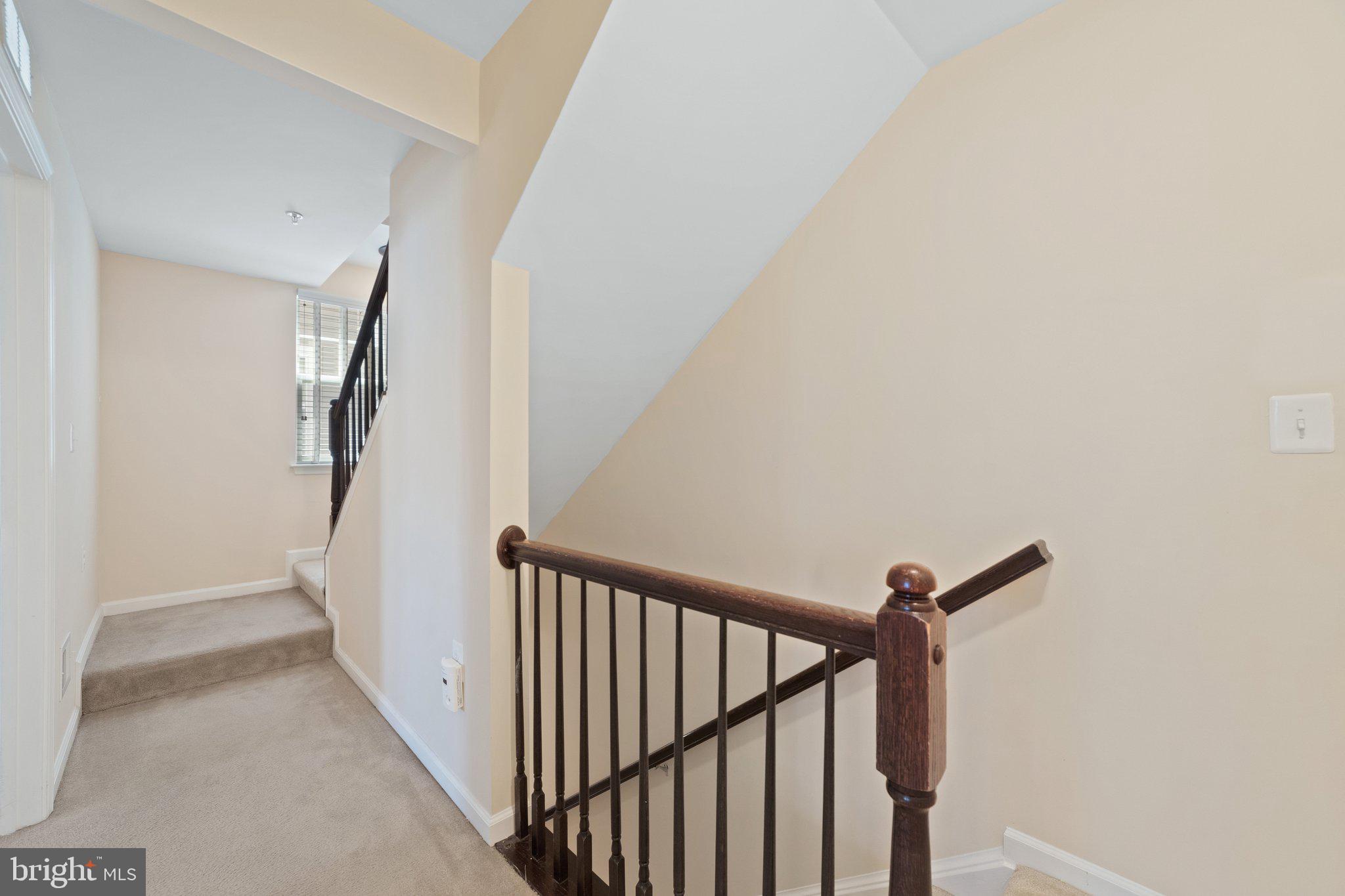 42195 Canary Grass Sq