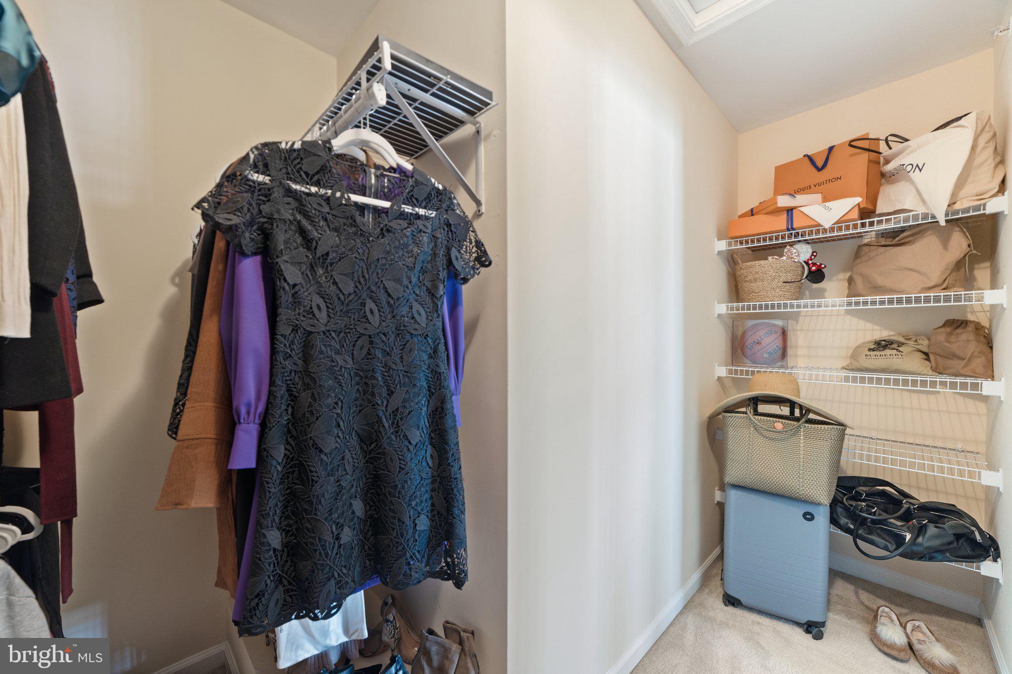 42195 Canary Grass Sq