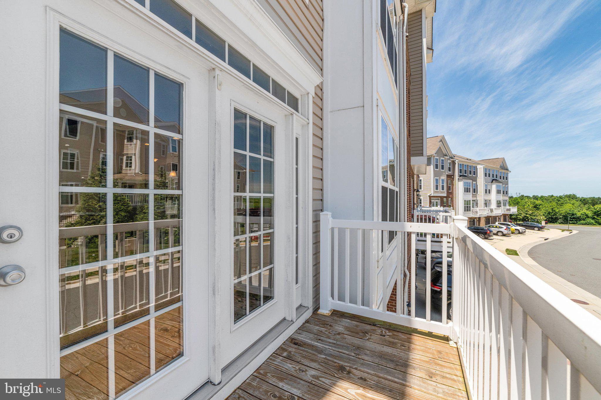 42195 Canary Grass Sq