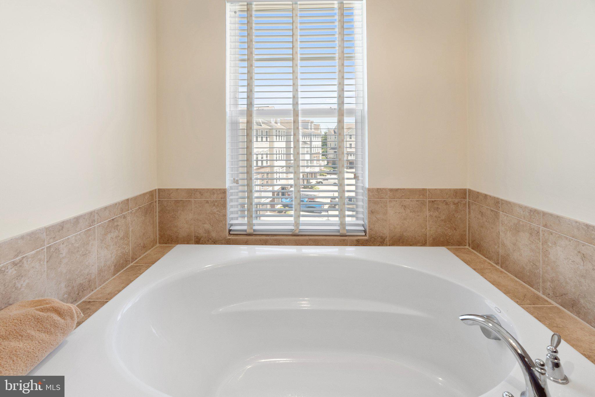 42195 Canary Grass Sq