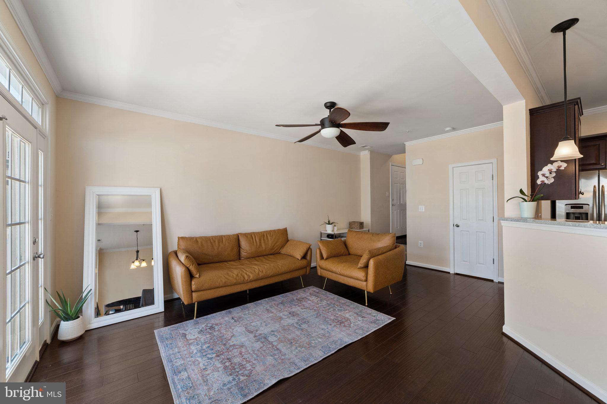 42195 Canary Grass Sq