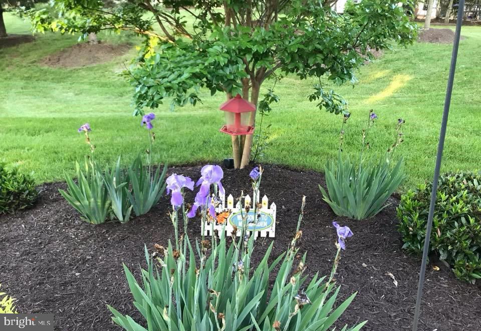 15153 Championship Dr