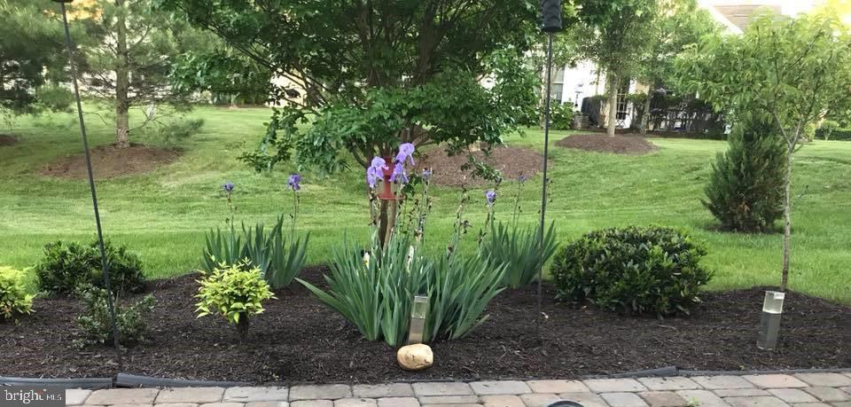 15153 Championship Dr