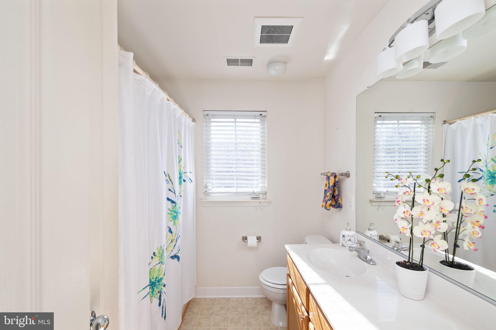 8847 Morrisania Mews