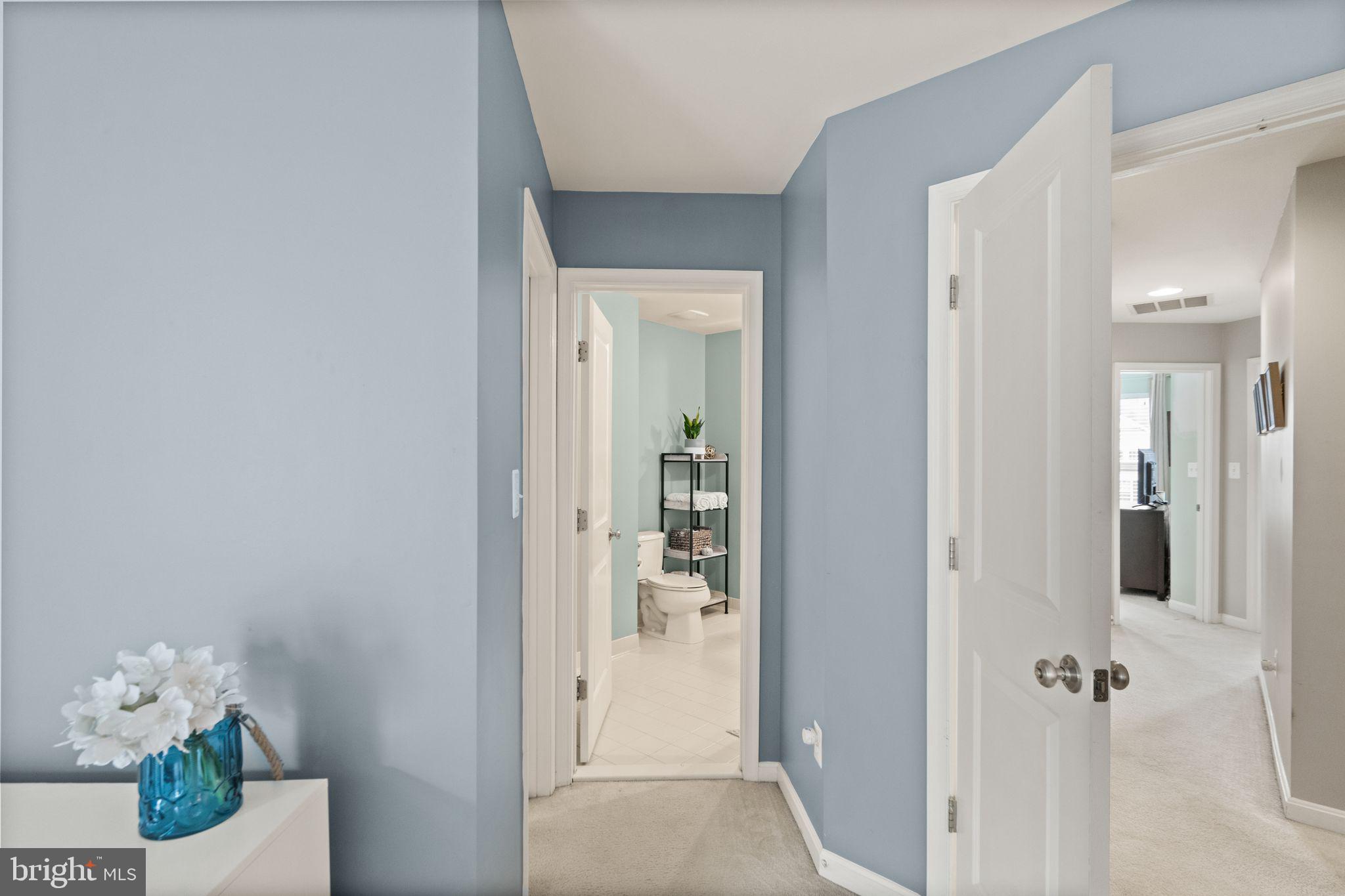 9093 Ribbon Falls Loop