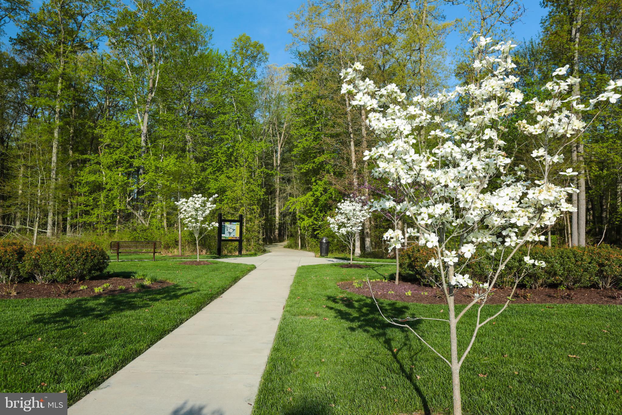 15931 Greymill Manor Dr