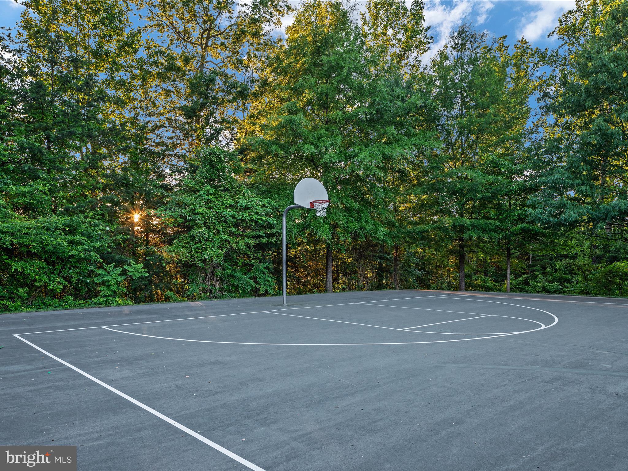 15931 Greymill Manor Dr