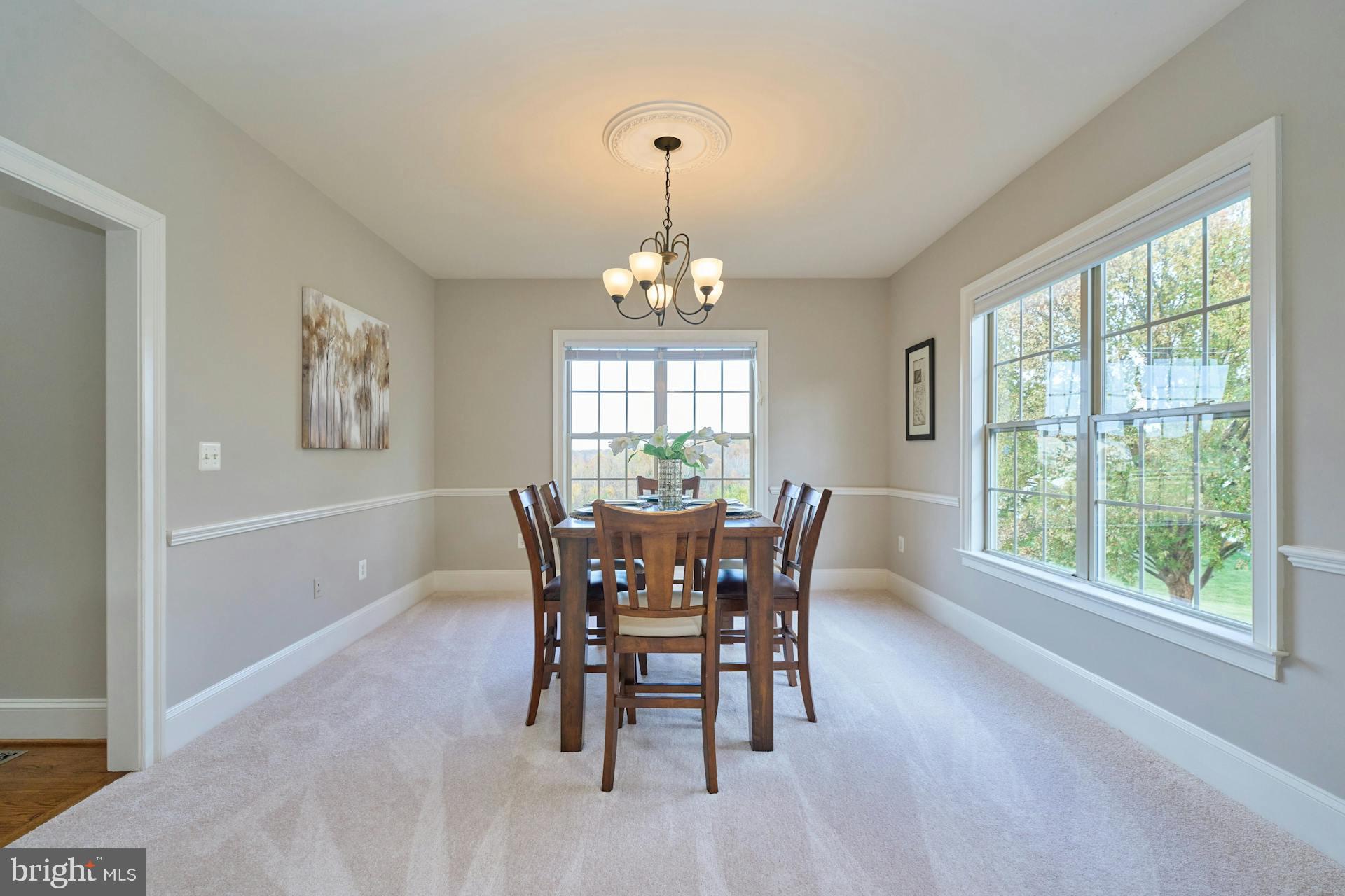 8823 Barn Owl Ct