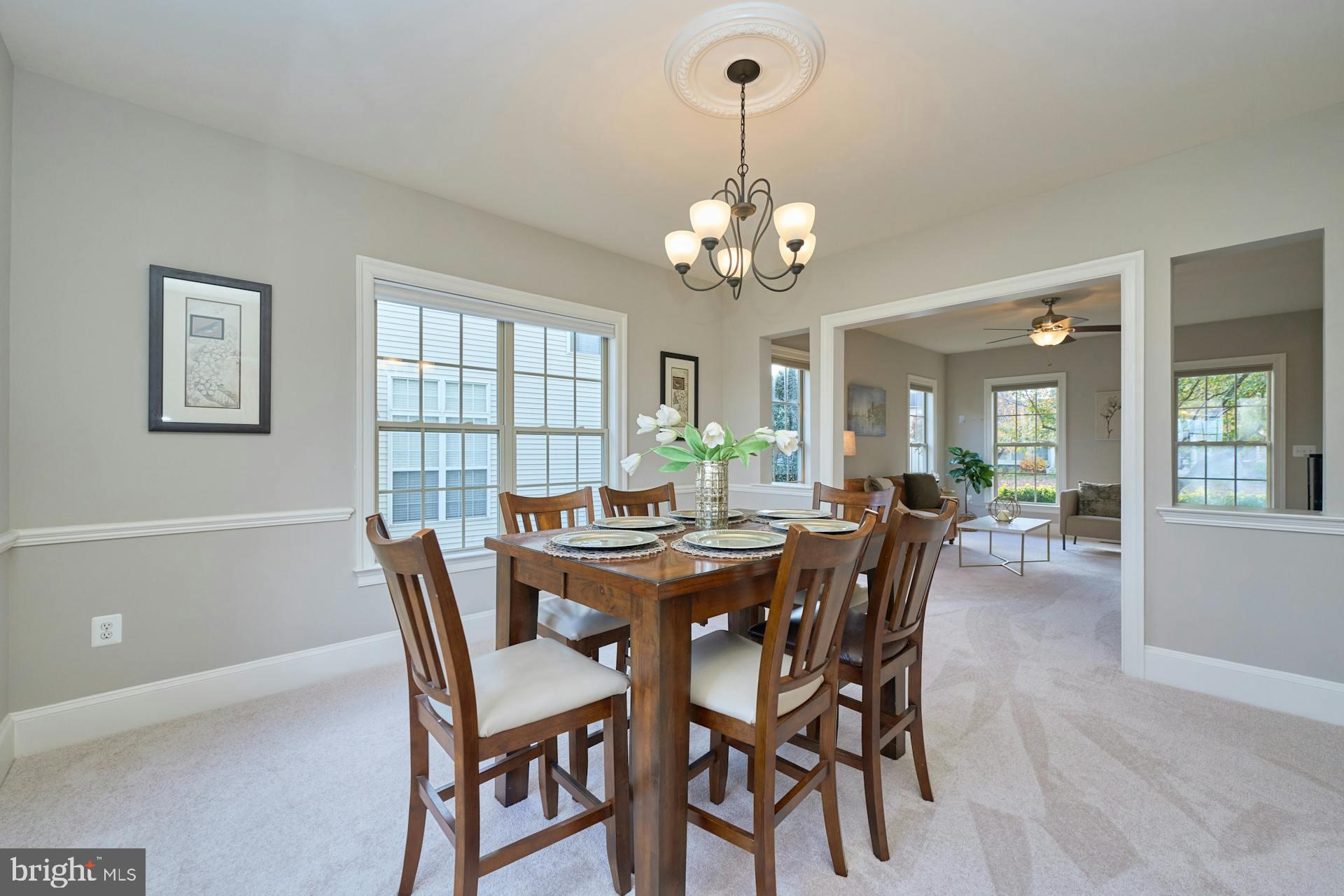 8823 Barn Owl Ct