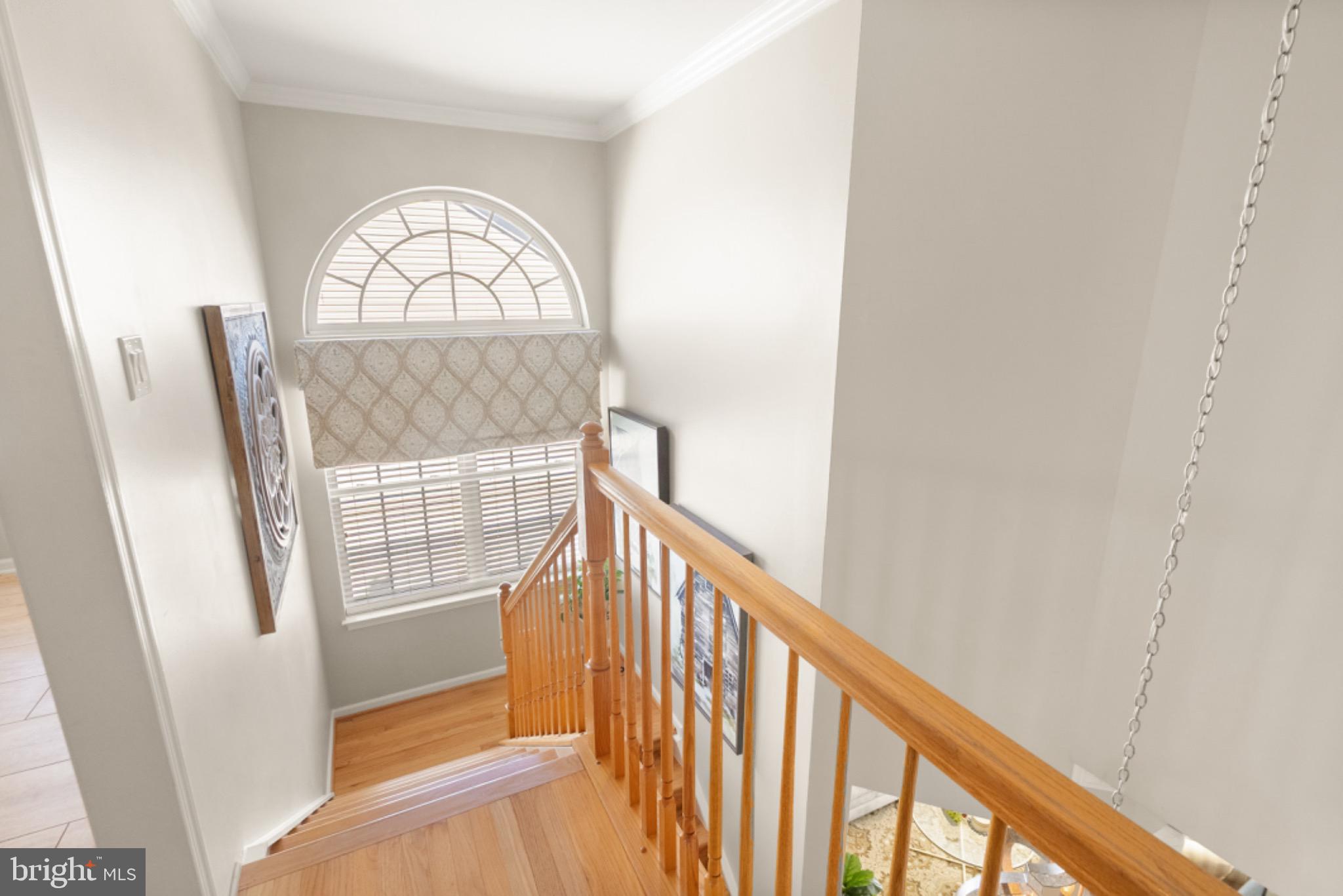 8020 TOWERING OAK WAY