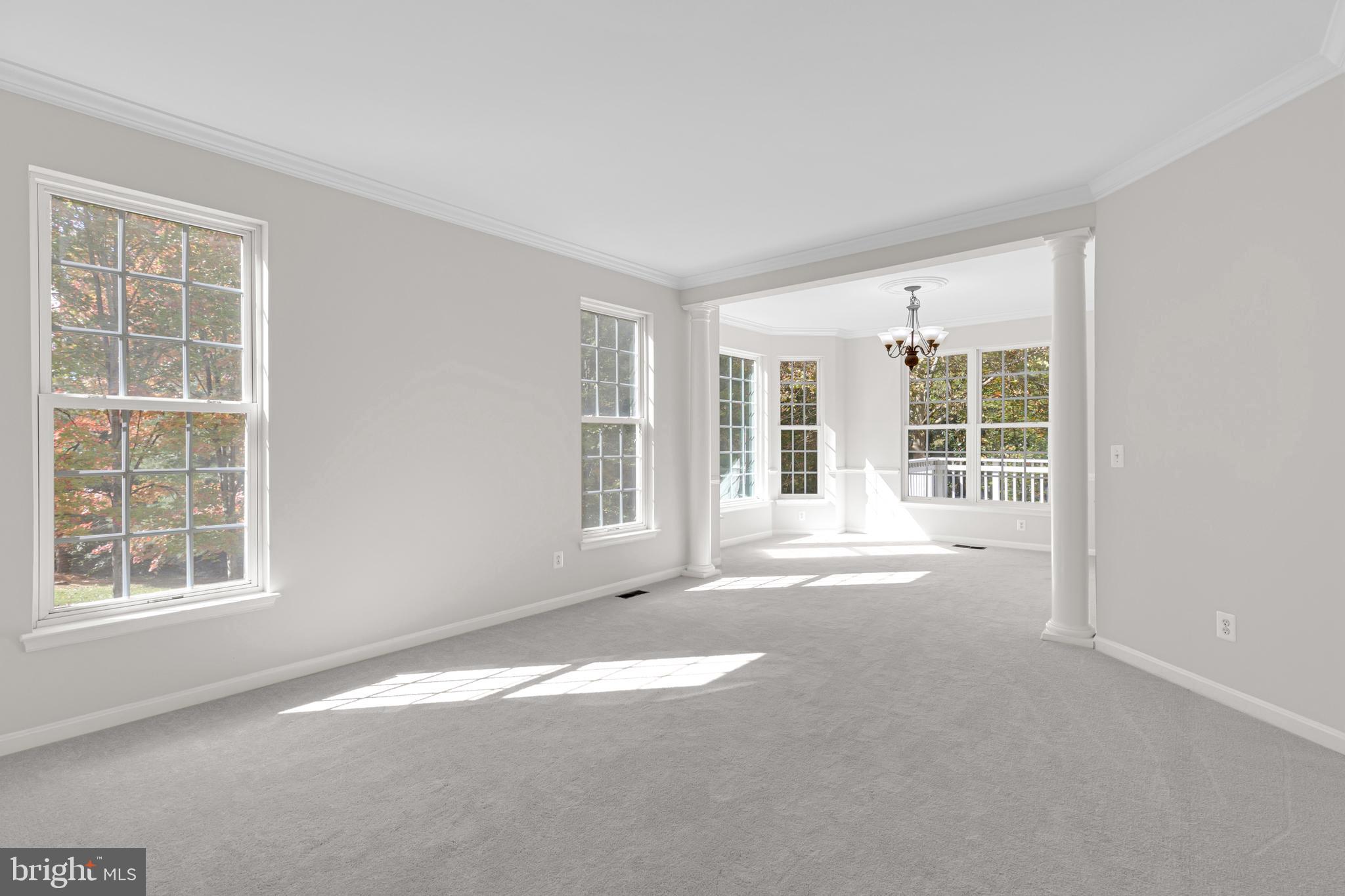 8566 BRICKSHIRE LANE