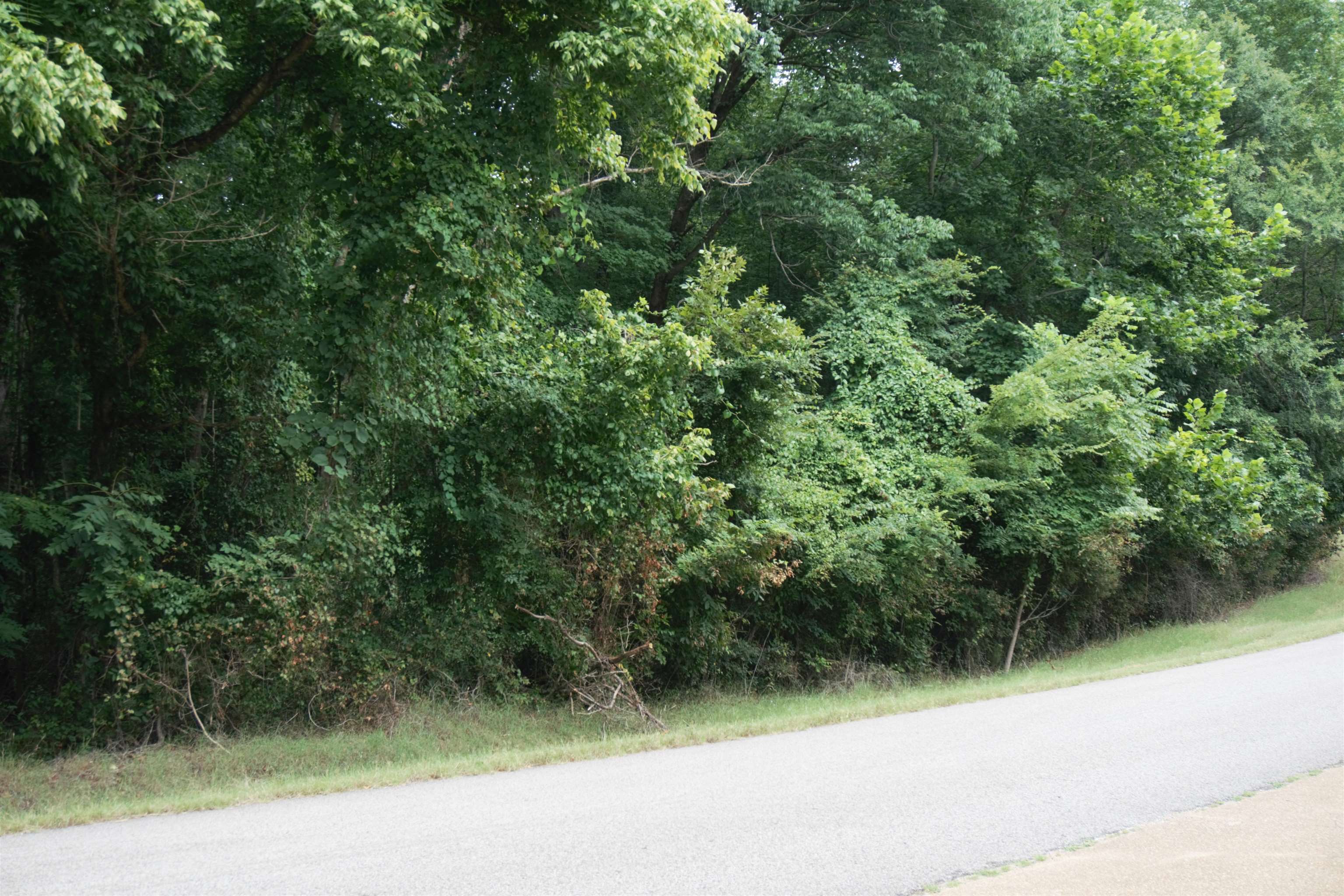 1375 ASBURY DR Unit: Lot #22