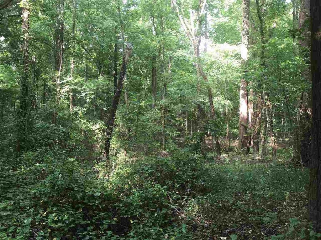1375 ASBURY DR Unit: Lot #22