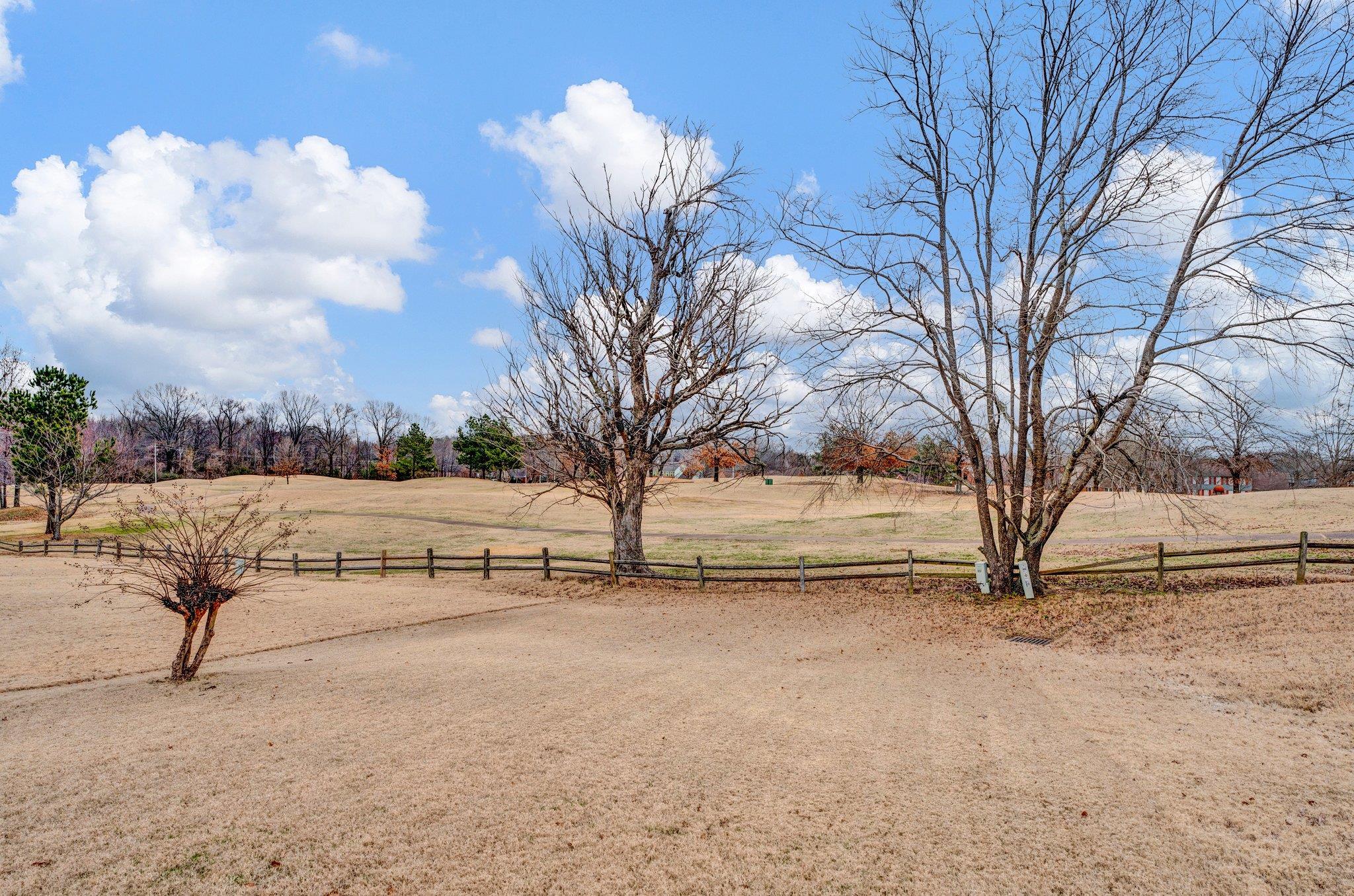 4118 PERSIMMON HILL CV