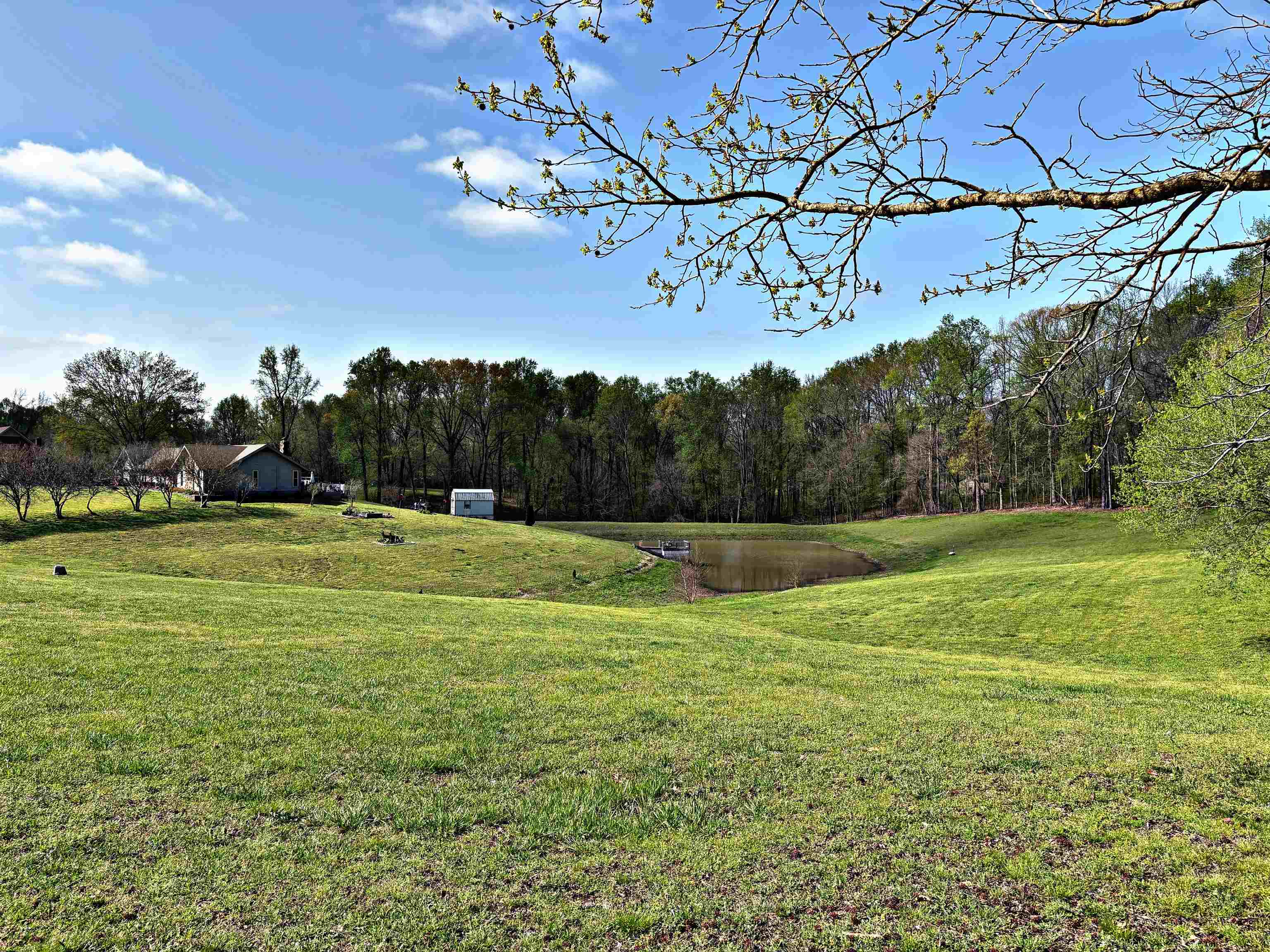 6007 ISLAND FORTY RD