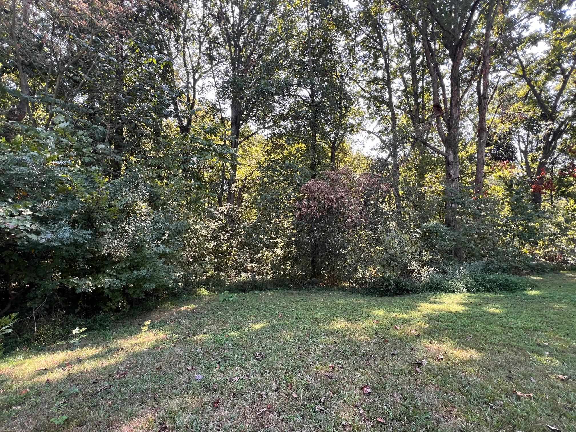 119 NANCY DR