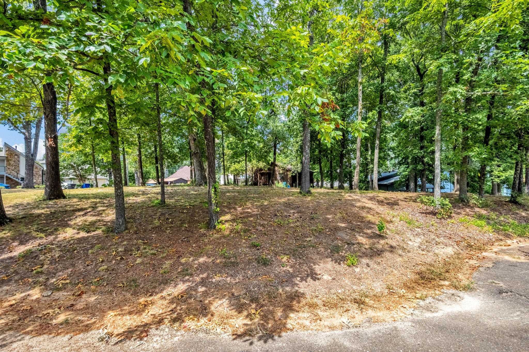 4158 WHITE CEDAR CV