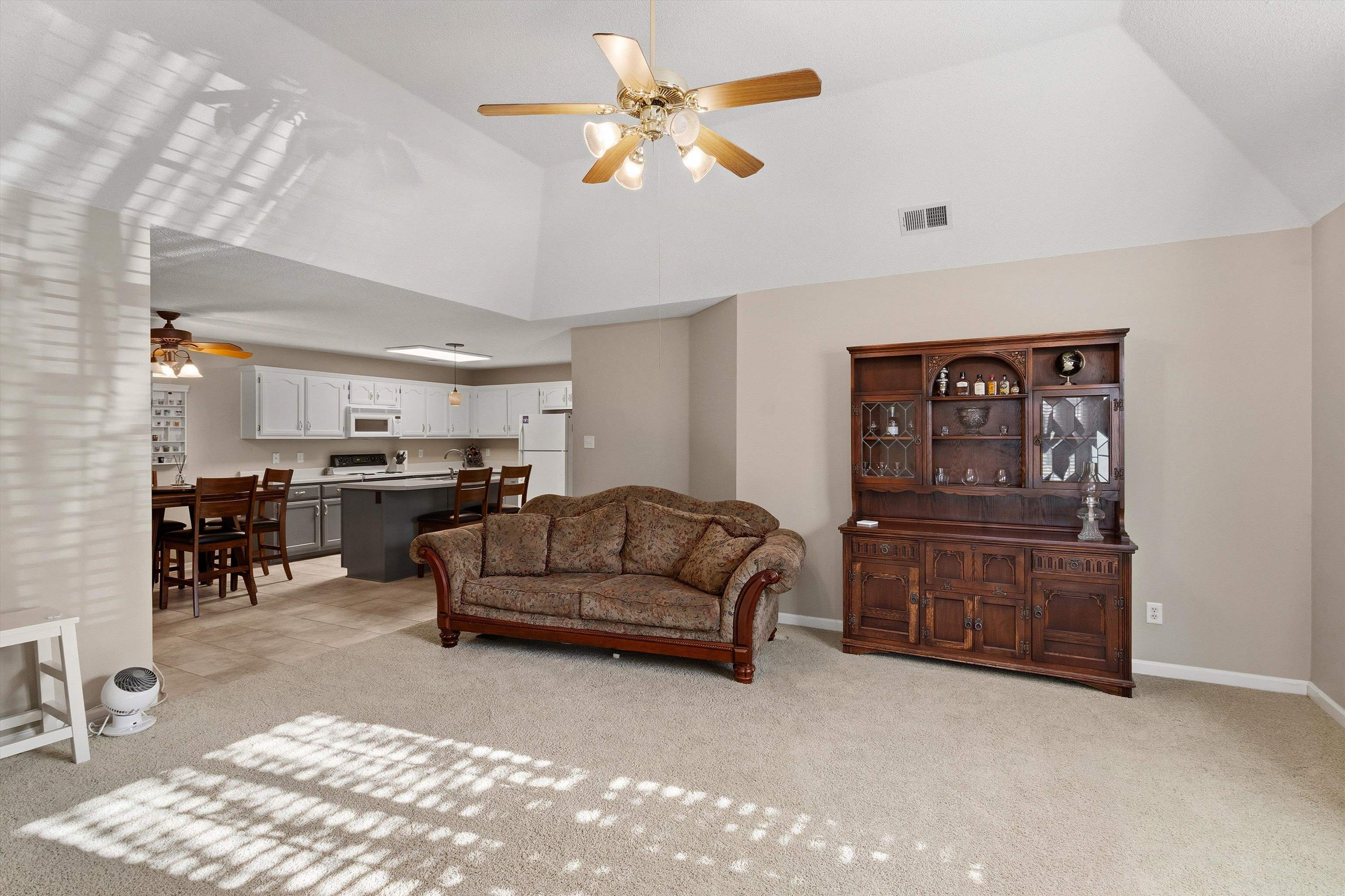 111 DANNON SPRINGS DR