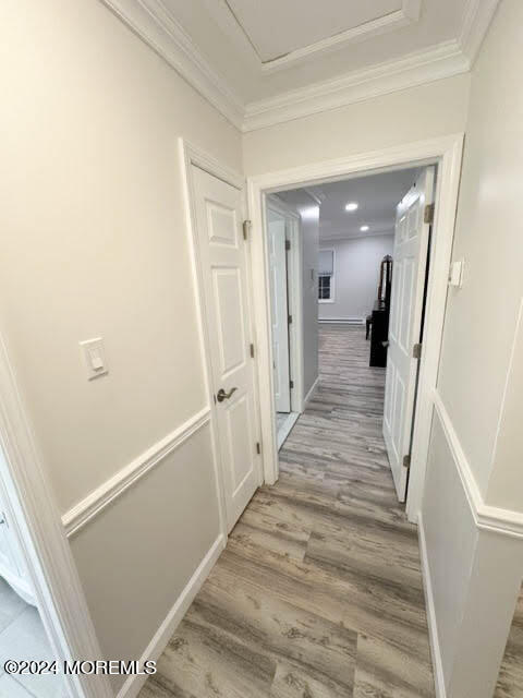 98B Evesham Road, 1000