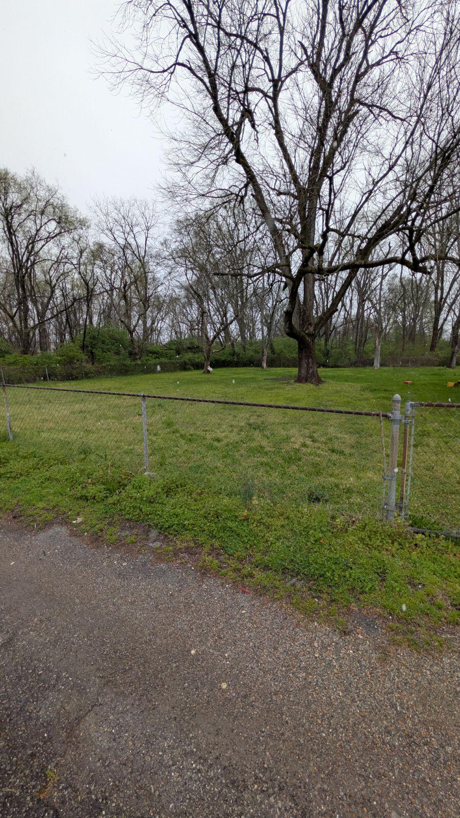 Lot 10 E 46th St. Walthall Street