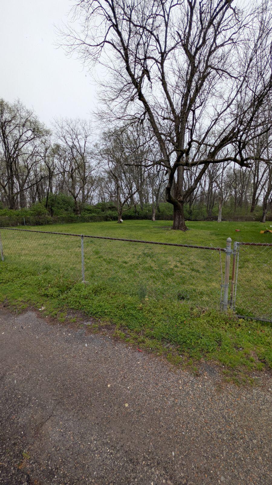 Lot 9 E 46th St. Walthall Street